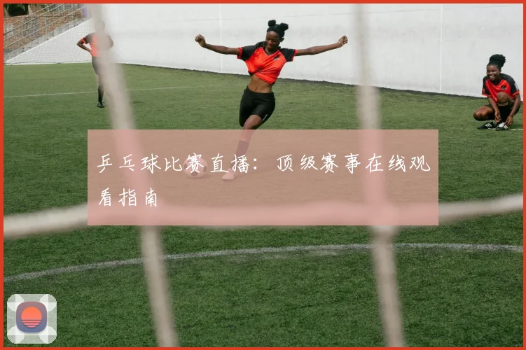 乒乓球比赛直播：顶级赛事在线观看指南